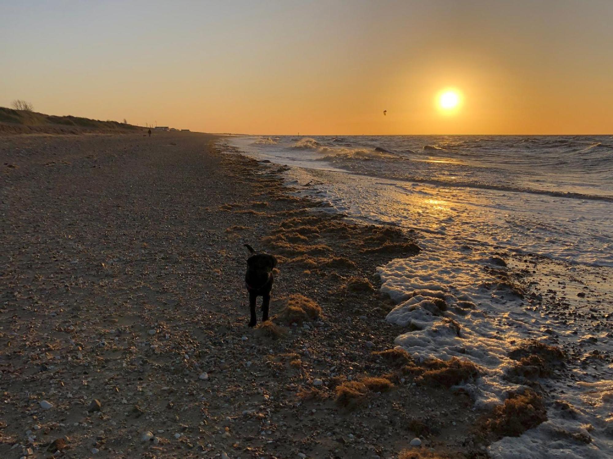 Norfolk * Хечем