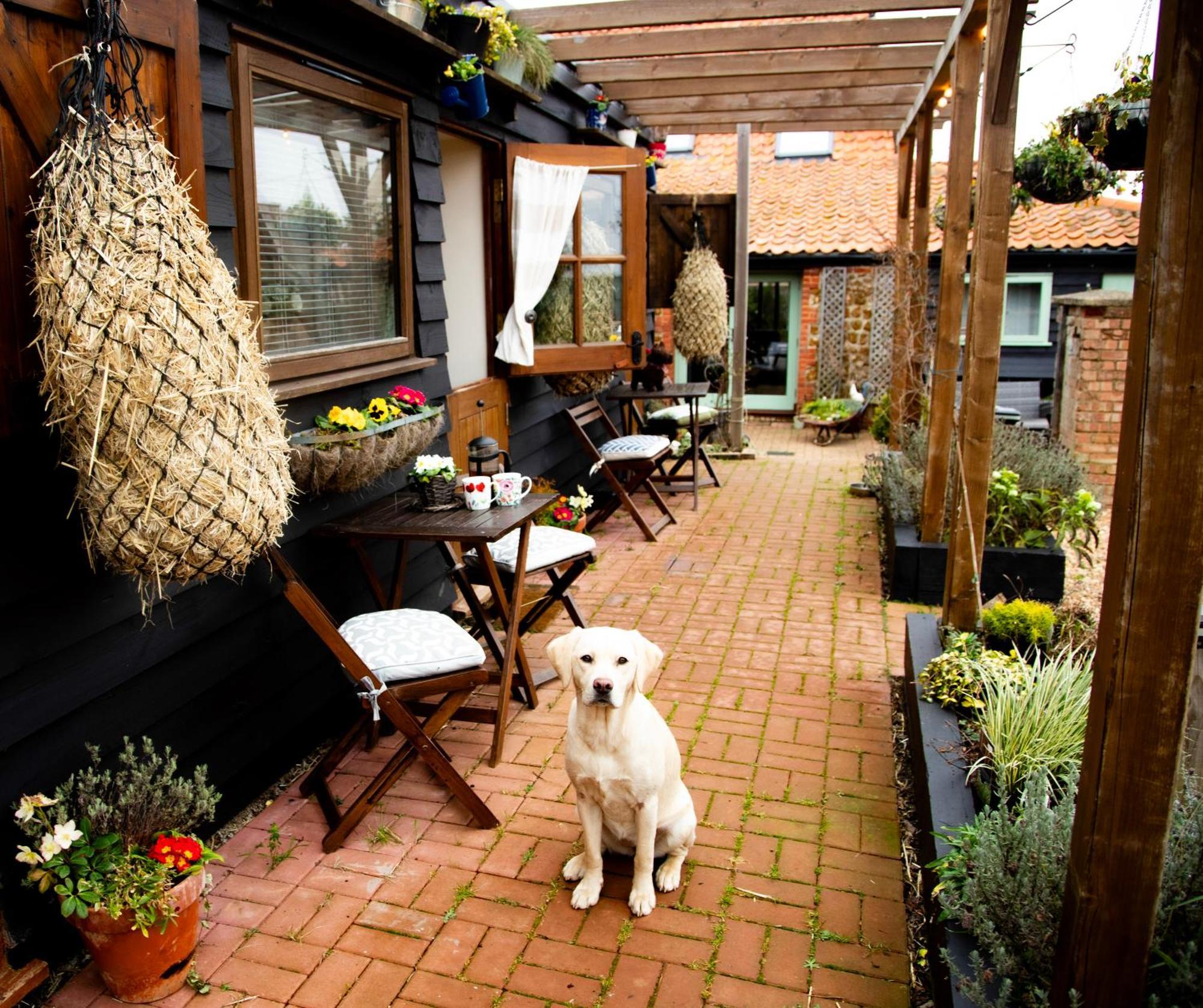 Bed & Breakfast Norfolk