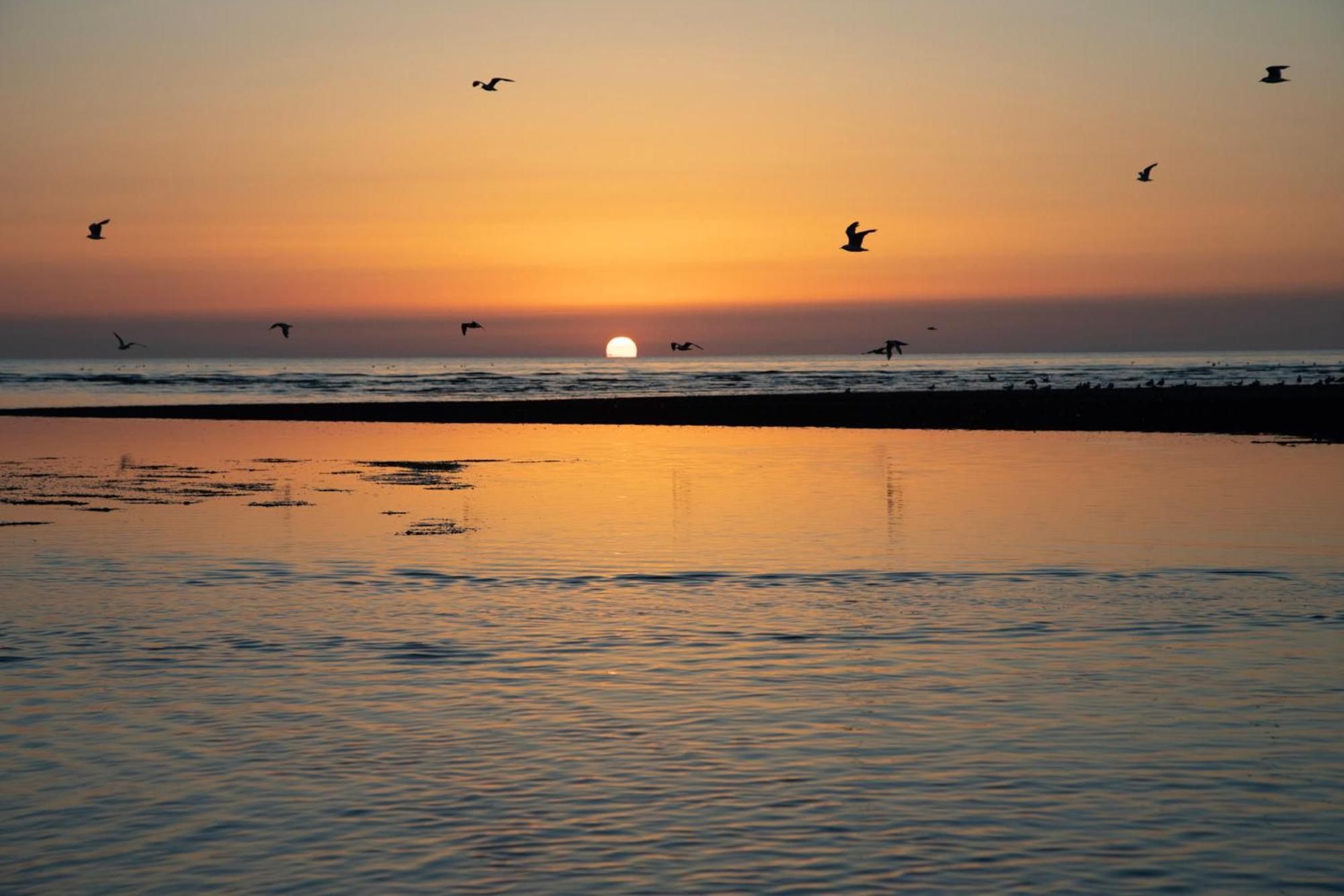 Norfolk Heacham