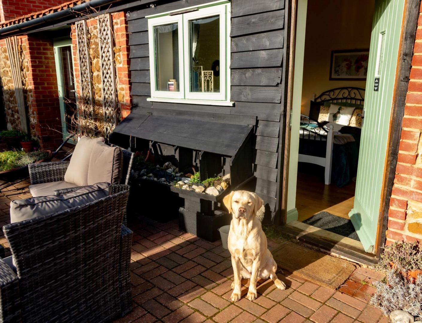 Bed & Breakfast Norfolk *